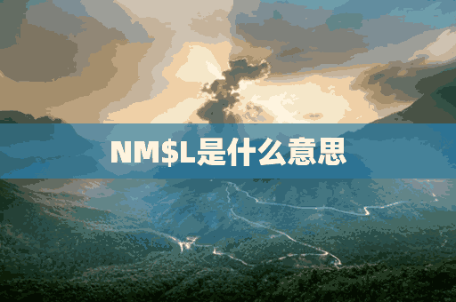 NM$L是什么意思(ponml是什么意思)